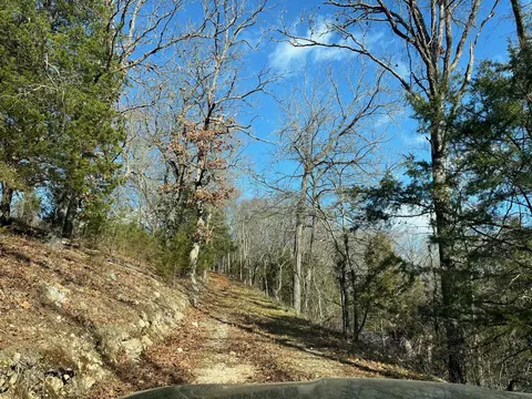 615 Thomas Hollow Rd, Rocky Comfort, MO 64861 photo 47