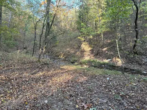 615 Thomas Hollow Rd, Rocky Comfort, MO 64861 photo 9
