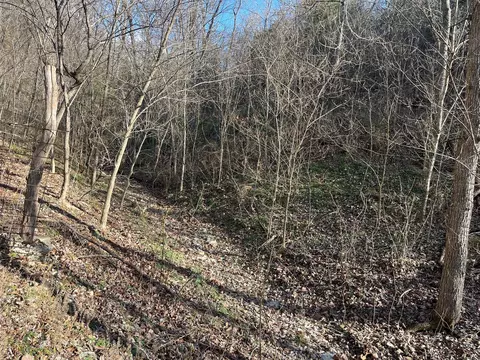 615 Thomas Hollow Rd, Rocky Comfort, MO 64861 photo 76