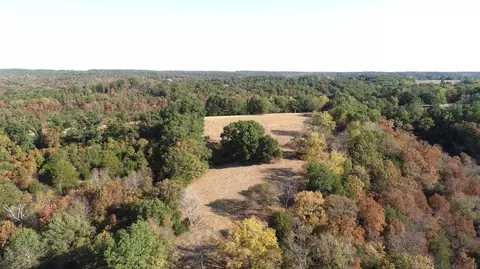 615 Thomas Hollow Rd, Rocky Comfort, MO 64861