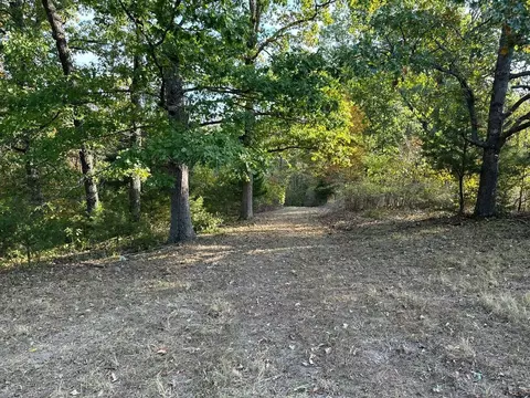 615 Thomas Hollow Rd, Rocky Comfort, MO 64861 photo 7