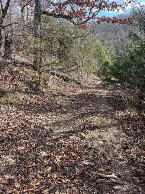 615 Thomas Hollow Rd, Rocky Comfort, MO 64861 photo 36