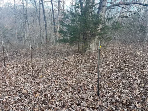 615 Thomas Hollow Rd, Rocky Comfort, MO 64861 photo 34