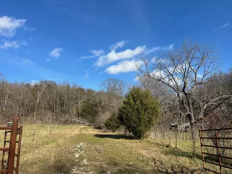 615 Thomas Hollow Rd, Rocky Comfort, MO 64861 photo 4