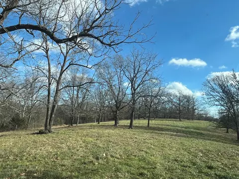 615 Thomas Hollow Rd, Rocky Comfort, MO 64861 photo 70
