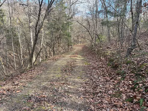 615 Thomas Hollow Rd, Rocky Comfort, MO 64861 photo 31