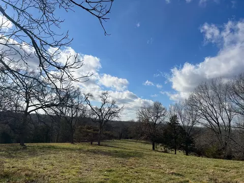 615 Thomas Hollow Rd, Rocky Comfort, MO 64861 photo 55