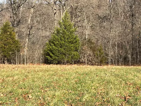 615 Thomas Hollow Rd, Rocky Comfort, MO 64861 photo 61