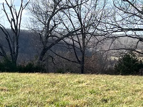 615 Thomas Hollow Rd, Rocky Comfort, MO 64861 photo 64
