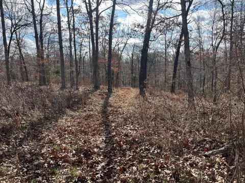 615 Thomas Hollow Rd, Rocky Comfort, MO 64861 photo 25
