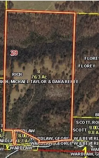 615 Thomas Hollow Rd, Rocky Comfort, MO 64861 photo 2