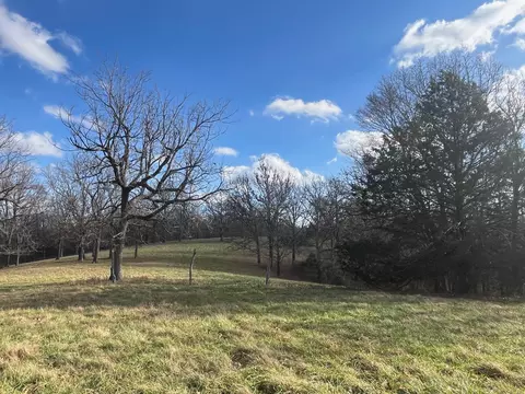 615 Thomas Hollow Rd, Rocky Comfort, MO 64861 photo 69