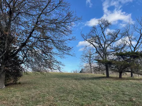 615 Thomas Hollow Rd, Rocky Comfort, MO 64861 photo 59