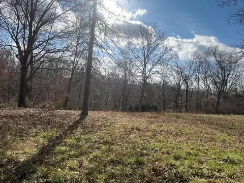 615 Thomas Hollow Rd, Rocky Comfort, MO 64861 photo 19
