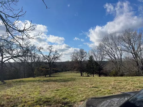 615 Thomas Hollow Rd, Rocky Comfort, MO 64861 photo 54