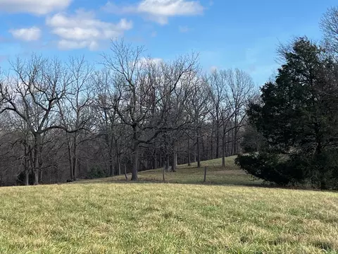 615 Thomas Hollow Rd, Rocky Comfort, MO 64861 photo 65
