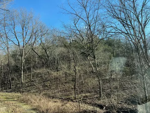 615 Thomas Hollow Rd, Rocky Comfort, MO 64861 photo 15