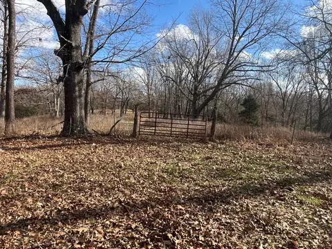 615 Thomas Hollow Rd, Rocky Comfort, MO 64861 photo 38