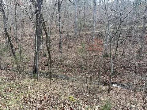 615 Thomas Hollow Rd, Rocky Comfort, MO 64861 photo 75
