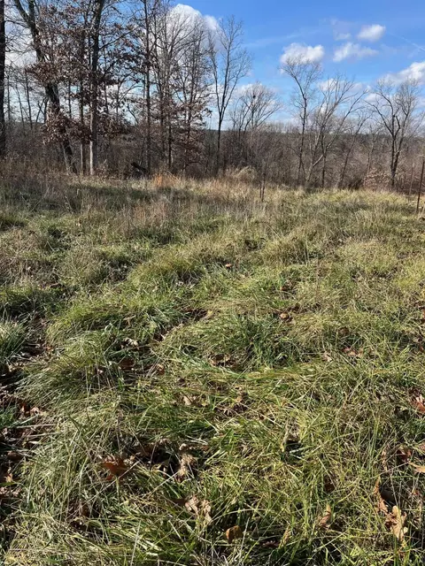 615 Thomas Hollow Rd, Rocky Comfort, MO 64861 photo 26
