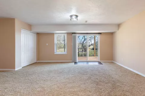 Living - 185 Old Meadow Ln, Branson, MO 65616 photo 6 of 9