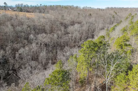View/Area - 5378 E County Rd #14-339, Ava, MO 65608 photo 7 of 17