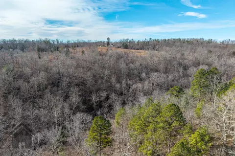 Other - 5378 E County Rd #14-339, Ava, MO 65608 photo 13 of 73