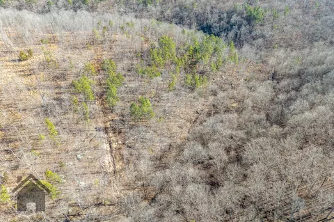 View/Area - 5378 E County Rd #14-339, Ava, MO 65608 photo 4 of 17