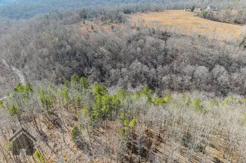View/Area - 5378 E County Rd #14-339, Ava, MO 65608 photo 3 of 17