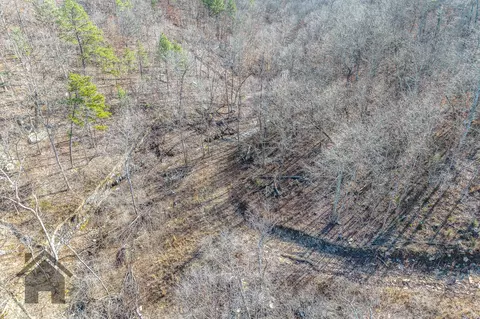View/Area - 5378 E County Rd #14-339, Ava, MO 65608 photo 6 of 17