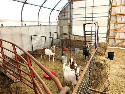 3200 Highway 83, Flemington, MO 65650 photo 43