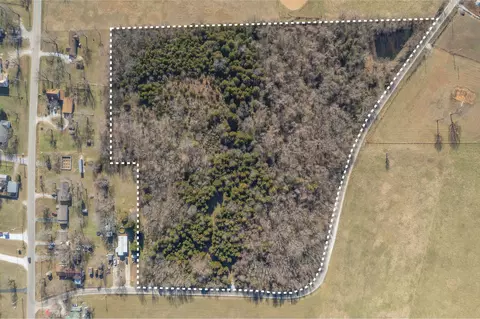 228 Swamp Rd, Granby, MO 64844 photo 12