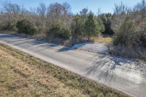 228 Swamp Rd, Granby, MO 64844 photo 10