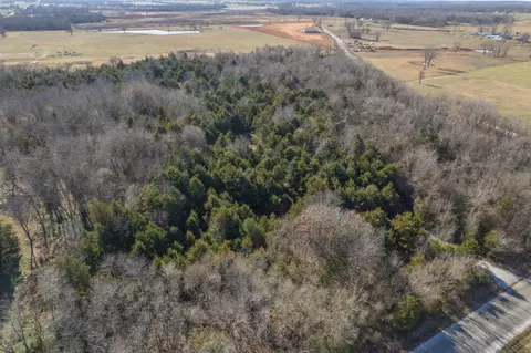 228 Swamp Rd, Granby, MO 64844 photo 9