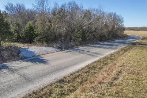 228 Swamp Rd, Granby, MO 64844 photo 11