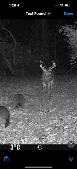 Other - 5736 S Foxboro Trl, Springfield, MO 65804 photo 32 of 33