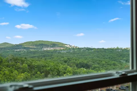 View/Area - 3010 N Vineyards Ter #3, Branson, MO 65616 photo 1 of 10