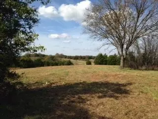 tbd State Highway Aa, Crane, MO 65633 photo 4