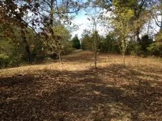 tbd State Highway Aa, Crane, MO 65633 photo 5