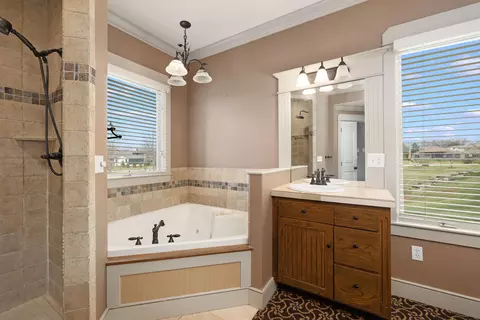 Bath - 3811 E San Poppi Ct, Ozark, MO 65721 photo 5 of 12