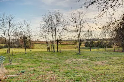 Exterior - 422 Spring Creek Rd, Clever, MO 65631 photo 7 of 17