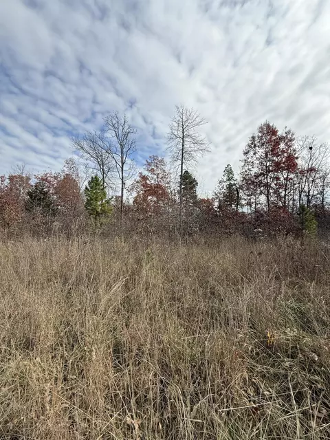 000 Forest Road 3169, Winona, MO 65588