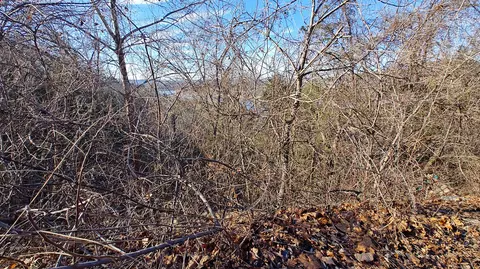 lot54 Skylee Dr, Hollister, MO 65672
