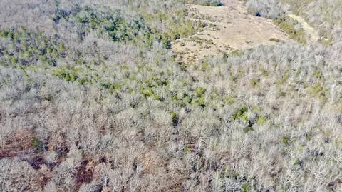 000 Flowstone Ln, Gainesville, MO 65655
