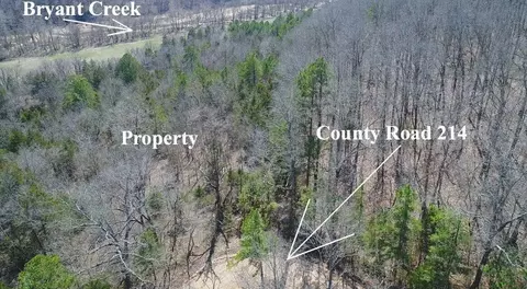 tbd County Road 214, Ava, MO 65608 photo 4