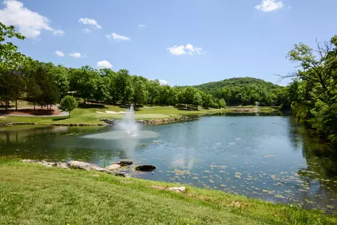 View/Area - 9 Bermuda Dr #2, Branson West, MO 65737 photo 2 of 2