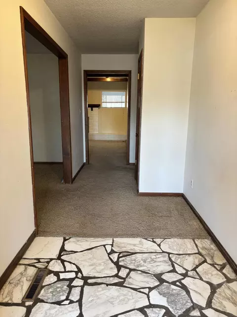 846 S Barnes Ave, Springfield, MO 65802 photo 3