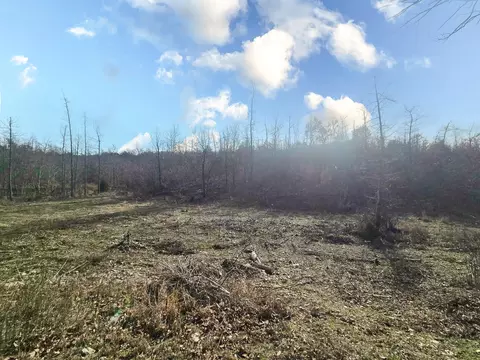 11940 Greenwood Rd, Cabool, MO 65689 photo 7