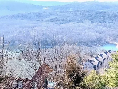View/Area - 43 Songbird Cir #1, Branson, MO 65616 photo 2 of 3