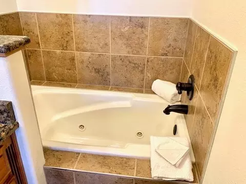 Bath - 43 Songbird Cir #1, Branson, MO 65616 photo 2 of 6